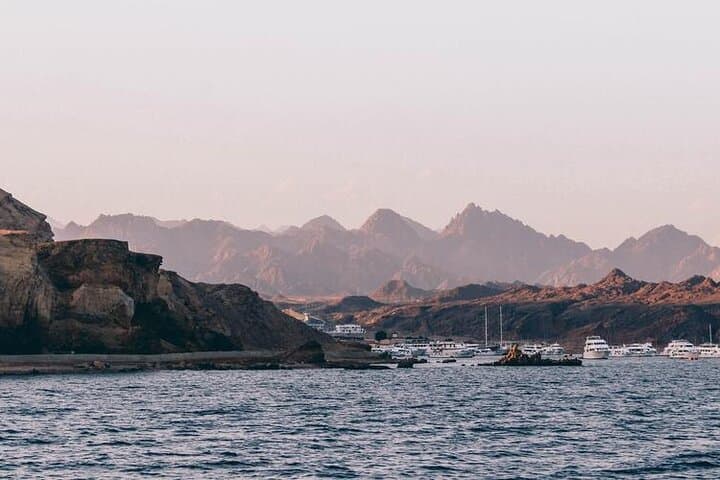 Sharm el Sheikh Shore Scuba: Two Guided Dives from the Beach with Transfers photo 2