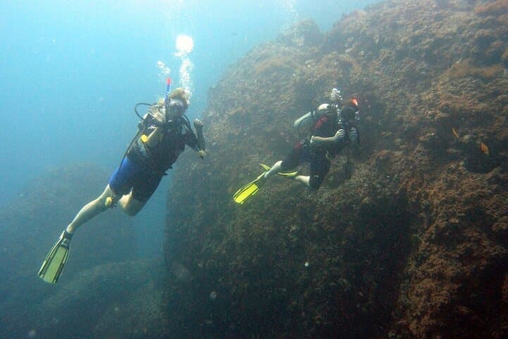 Sharm el Sheikh Shore Scuba: Two Guided Dives from the Beach with Transfers photo 3