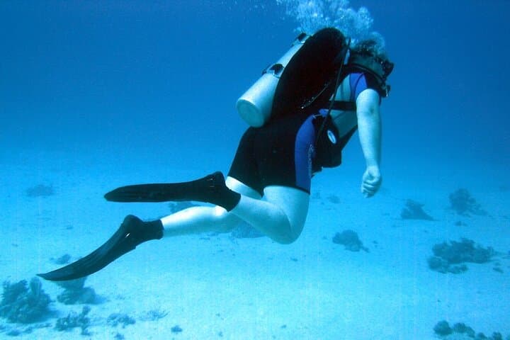Sharm el Sheikh Shore Scuba: Two Guided Dives from the Beach with Transfers