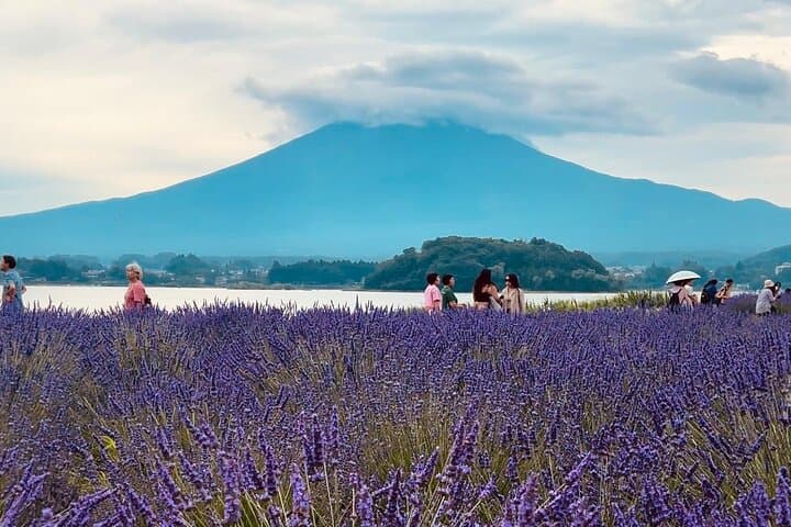 Private Fuji and Hakone Photography Tour from Tokyo — Lake Views, Pagodas & Volcanic Valleys photo 3