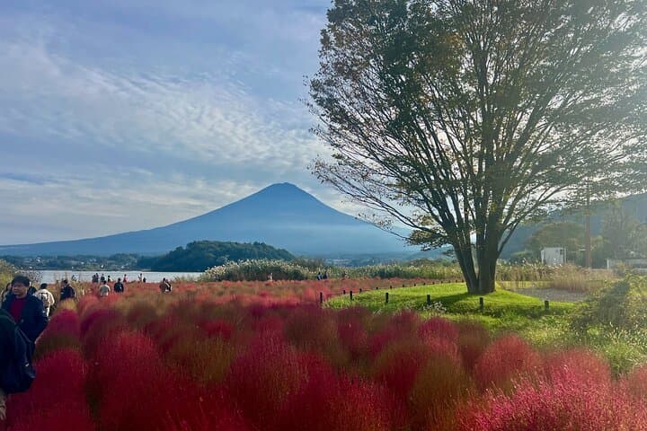 Private Fuji and Hakone Photography Tour from Tokyo — Lake Views, Pagodas & Volcanic Valleys photo 6