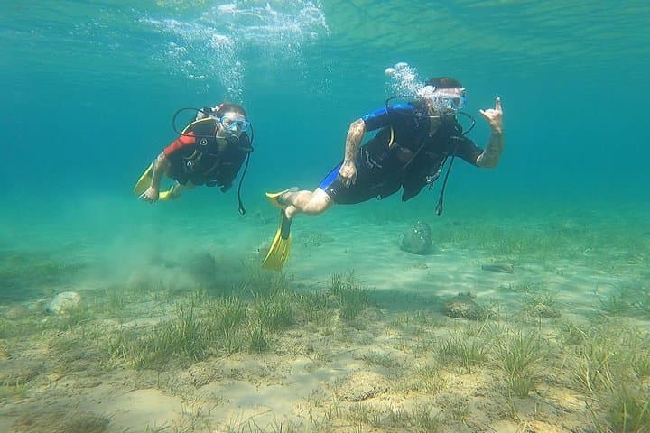 Guided Boat and Shore Dives from Nea Makri: Wrecks, Walls & Caverns in the Evoikos Gulf photo 3