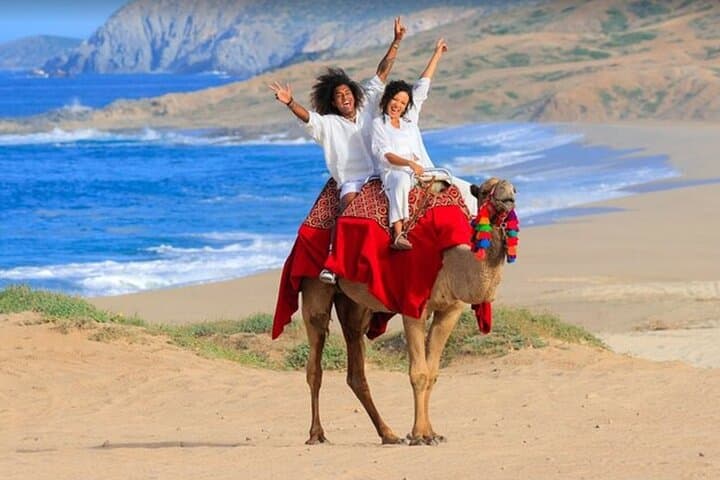 Cabo San Lucas Land-and-Sea Combo Tour: ATV, Snorkel & Sunset Boat photo 4