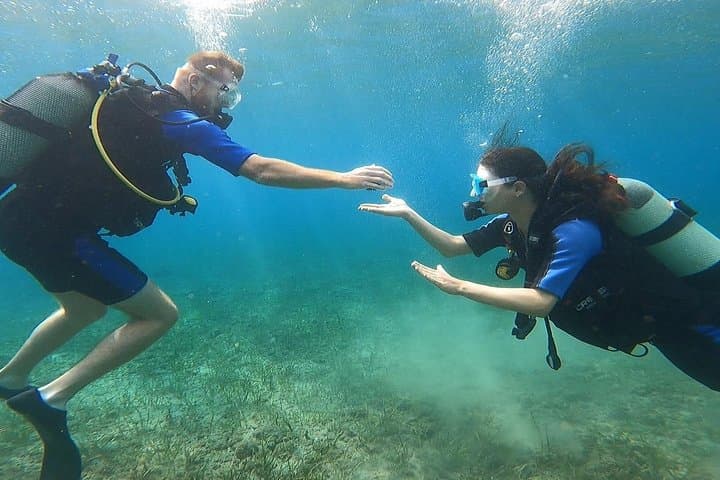Discover Scuba Diving in Nea Makri: Small-Group Beginner Dives Near Athens photo 6