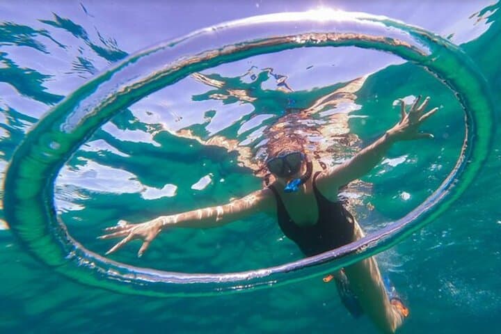 Cabo Boat Tour & Pelican Rock Snorkel — El Arco, Sea Lions and Whale-Spotting photo 2