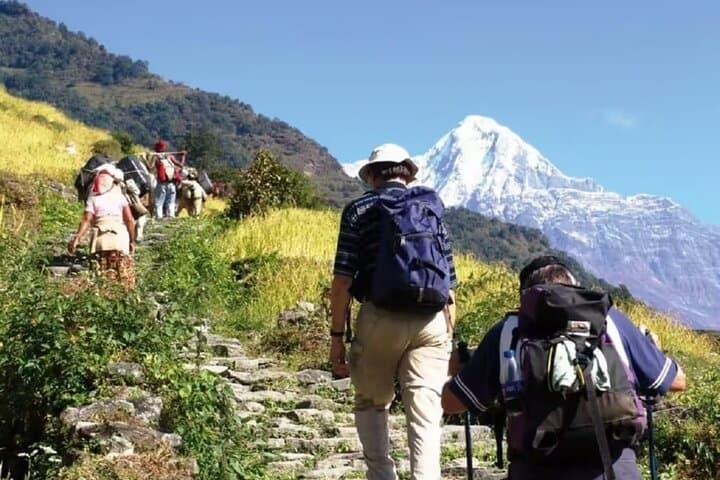 Australian Camp Day Hike from Pokhara: Annapurna Foothills Trek photo 6
