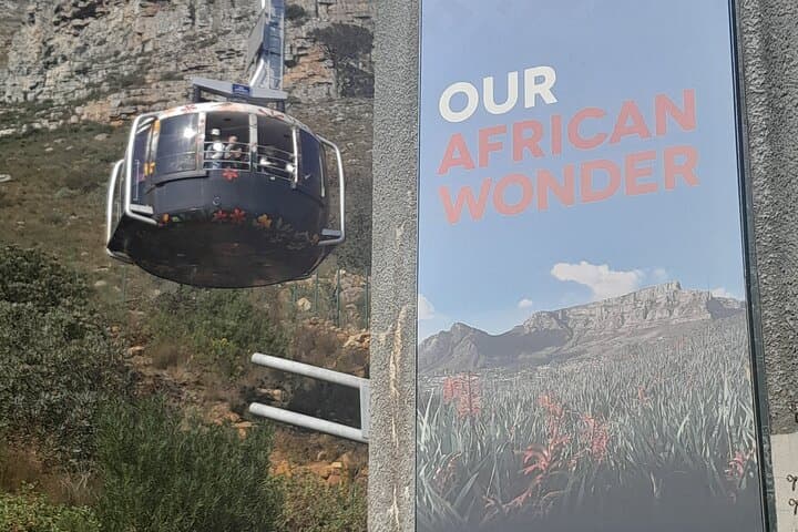 Table Mountain and Stellenbosch Wine Tasting Private Tour — Cape Town Day Trip photo 5