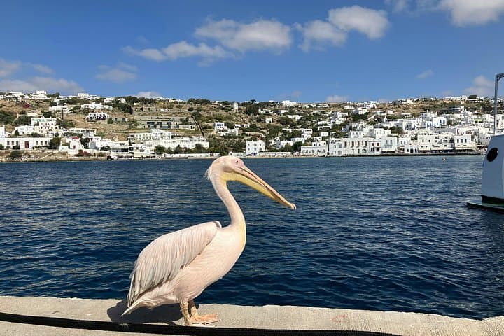 Mykonos Highlights: 4-Hour Guided Island Tour to Lighthouse, Town & Ano Mera photo 2