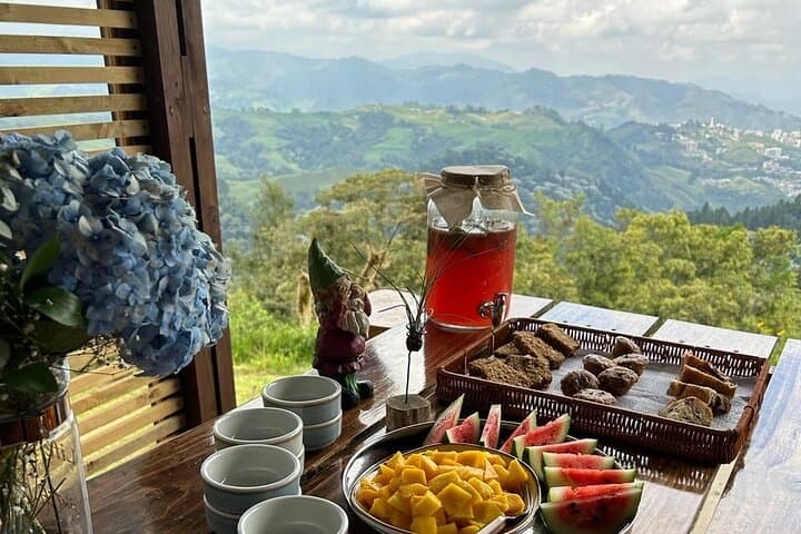 Owls Watch Nature Retreat — Birding the Rio Blanco Cloud Forest Near Manizales photo 3