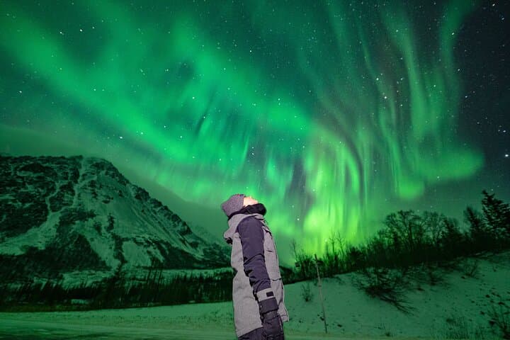 Luxury Private Northern Lights Experience in Fairbanks — Aurora Viewing by Van photo 6