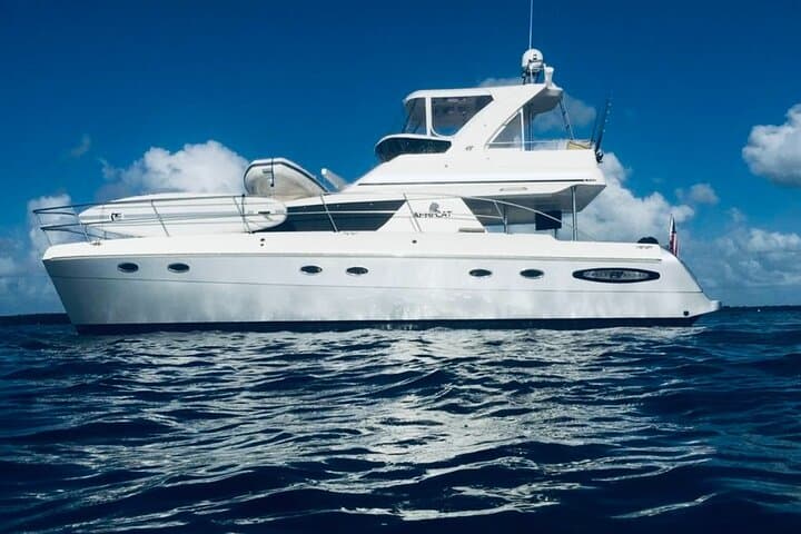 Experience a Luxury Sunset Cruise in Fort Myers and Naples, Florida photo 2