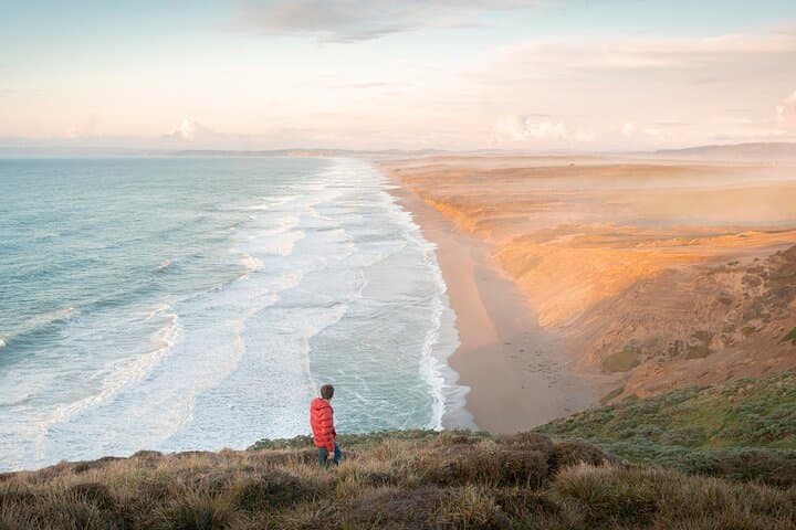 Muir Woods to Point Reyes: Full-Day Coastal Day Trip from San Francisco with Mead Tasting photo 1