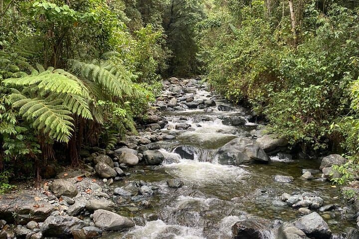 Pance Trail Waterfall Hike: Swim, Wildlife & Views Near Cali