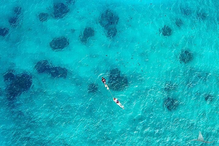 Private Waikiki Catamaran Charter: 2-Hour Luxury Sail, Snorkel & Wildlife Viewing photo 4
