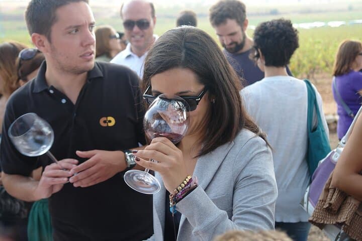 Requena Vineyard Tour and Wine Tasting from Valencia: Cava, Local Wines & Snacks photo 2