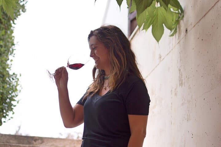 Requena Vineyard Tour and Wine Tasting from Valencia: Cava, Local Wines & Snacks photo 4