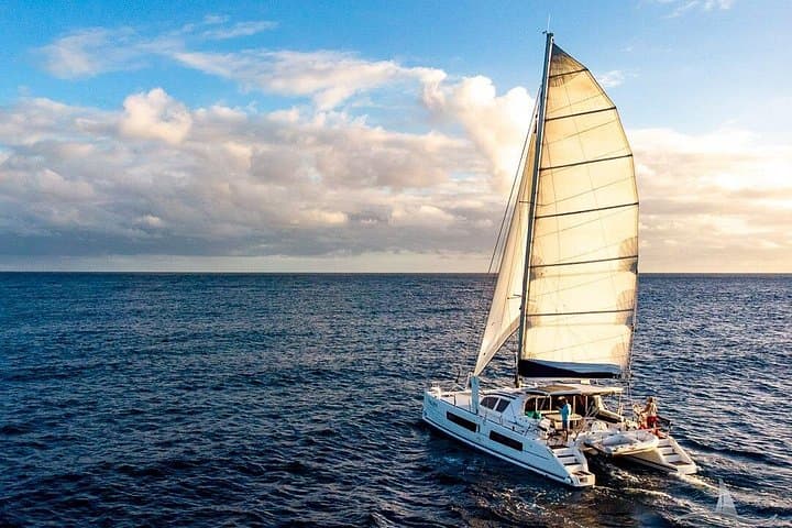 Waikiki Private Catamaran Charter: 3-Hour Luxury Sail, Snorkel & Wildlife Viewing photo 2
