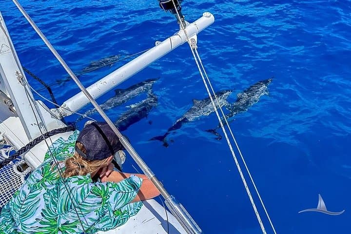 Waikiki Private Catamaran Charter: 3-Hour Luxury Sail, Snorkel & Wildlife Viewing photo 4