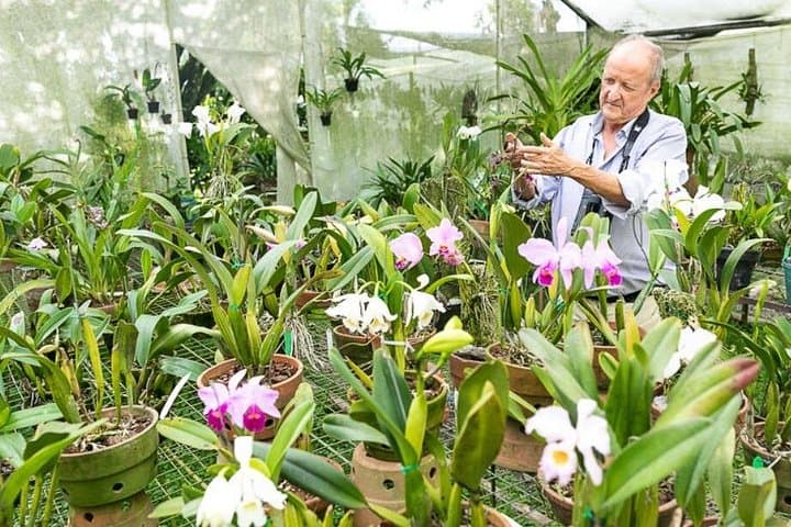Finca Romelia Orchids and Birding Tour — Salento's 850+ Orchid Species and Birding Walk