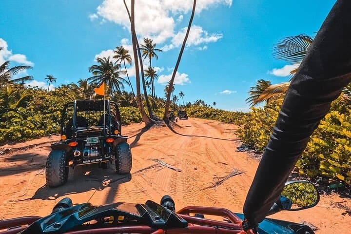 Piñones Beach Buggy and El Yunque Waterfall Adventure from San Juan photo 4