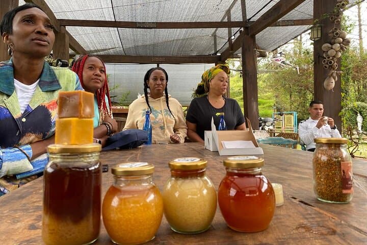 Bee Tour from Medellín to Apiarios 3MONTES: Hands-On Beekeeping & Honey Tasting photo 3
