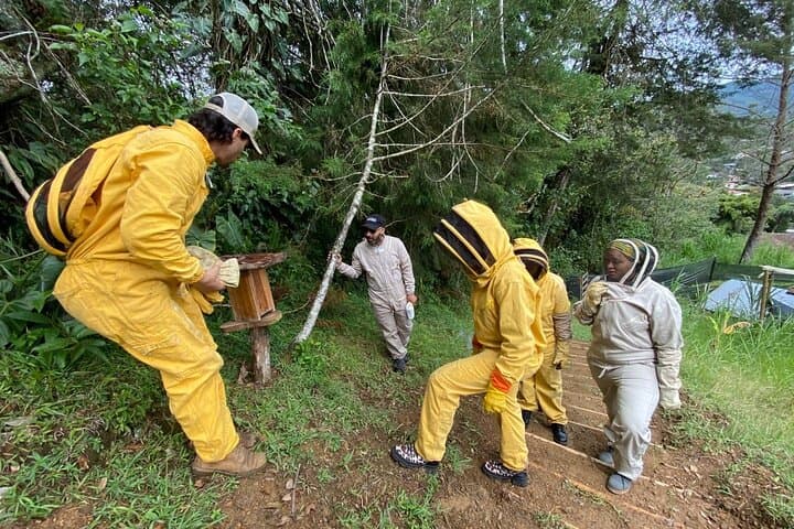 Bee Tour from Medellín to Apiarios 3MONTES: Hands-On Beekeeping & Honey Tasting photo 4