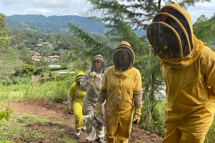 Bee Tour from Medellín to Apiarios 3MONTES: Hands-On Beekeeping & Honey Tasting photo 5