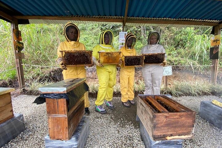 Bee Tour from Medellín to Apiarios 3MONTES: Hands-On Beekeeping & Honey Tasting