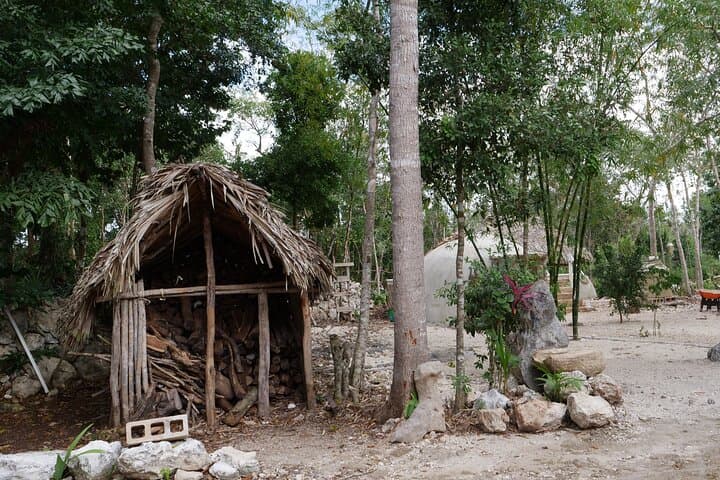 Coba Ruins Sunset Tour with Mayan Village and Cenote Visit photo 5