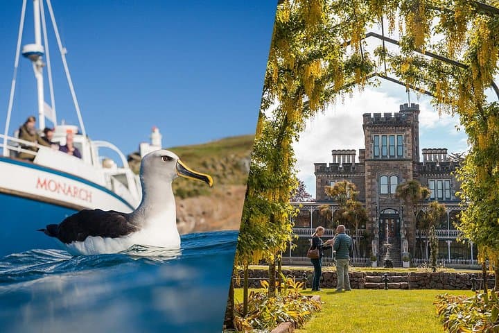 Larnach Castle & Otago Peninsula Wildlife Cruise — Dunedin Day Tour photo 1