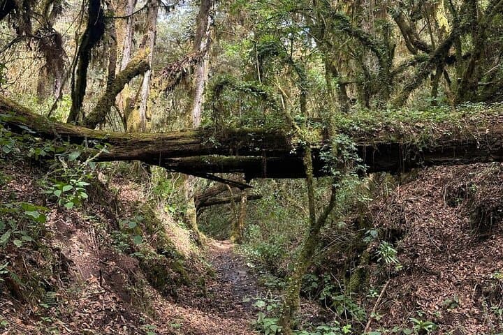 Zapotec-mountains-hike-hot-chocolate-santa-catarina-ixtepeji