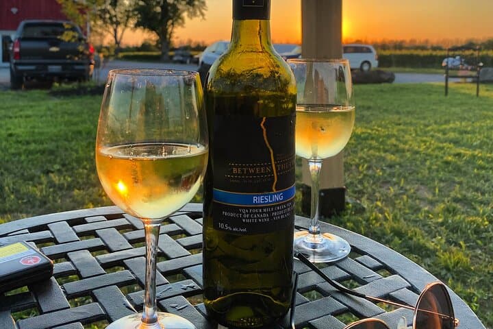 Twilight Wine Adventure in Niagara with 3-Course Dinner
