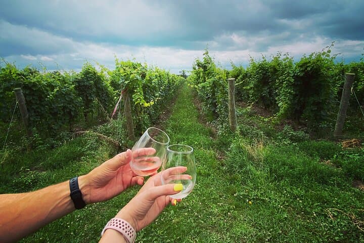 Twilight Wine Adventure in Niagara with 3-Course Dinner photo 3