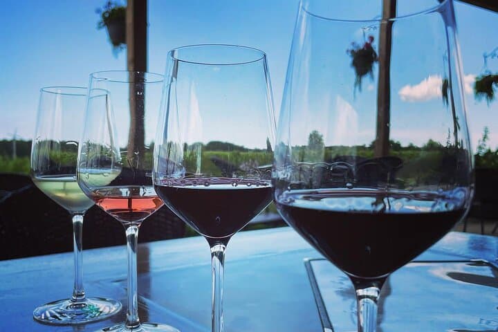 Twilight Wine Adventure in Niagara with 3-Course Dinner photo 5