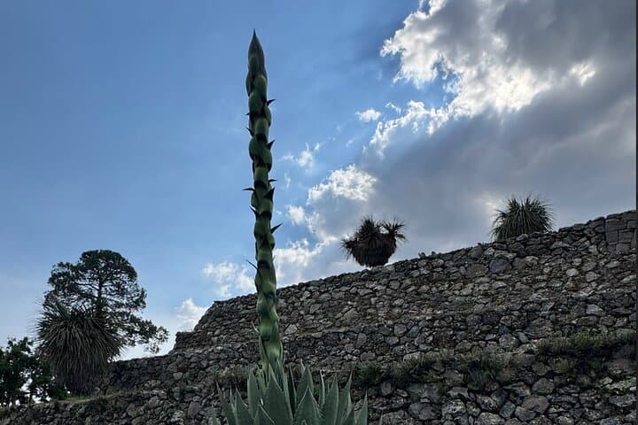 Cantona and Puebla Day Tour: Explore Mexico’s Largest Archaeological Fortress photo 6