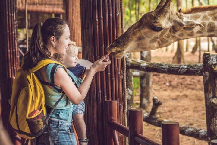 9-Day Kenya Wild Safari and Diani Beach Tour — Maasai Mara, Nakuru & Naivasha photo 6