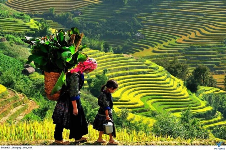 Sapa 2-Day Fansipan Cable Car & Lao Chai–Ta Van Trek: Practical Guide photo 2