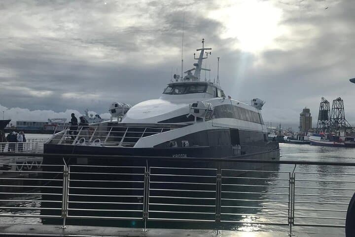 Robben Island Half-Day Tour: Ferry Trip and Nelson Mandela Prison Visit from Cape Town