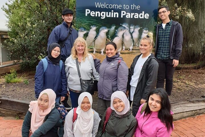 Phillip Island Penguin Parade & Wildlife Tour from Melbourne — Private Day Trip photo 3