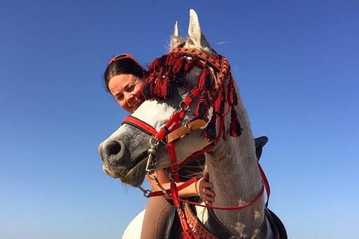Horseback Through Time: Private Equestrian Tour of Luxor's West Bank
