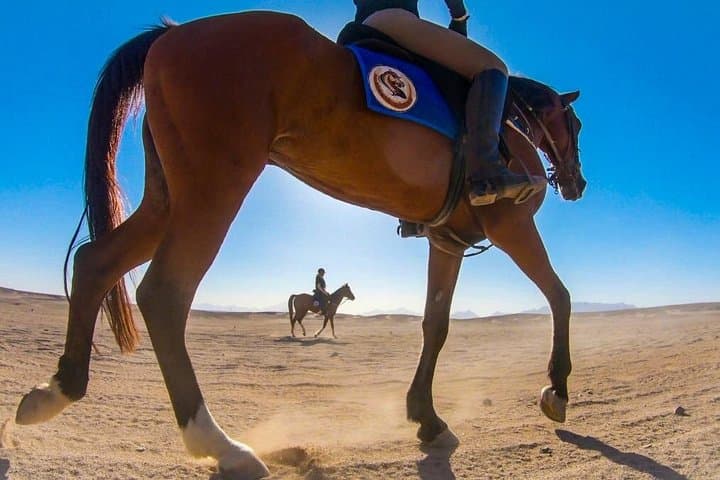 Horseback Through Time: Private Equestrian Tour of Luxor's West Bank photo 4