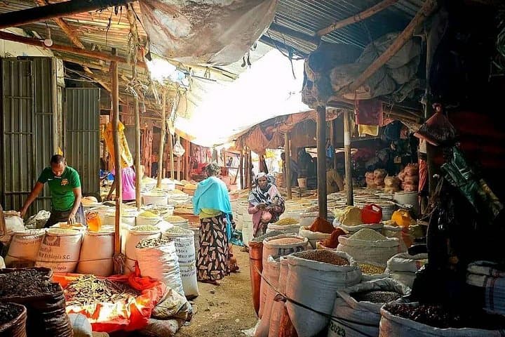 Addis Ababa City Tour: Entoto Views, National Museum & Mercato photo 1