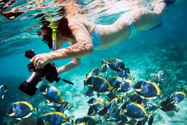 Luxor-to-Red-Sea-Snorkel-Day-Trip-to-Utopia-Island photo 3