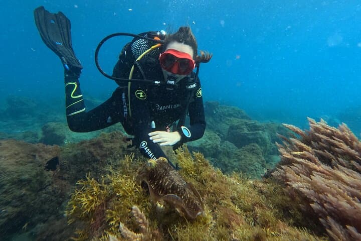 Learn to Dive: Open Water Course in Tenerife’s Clear Seas photo 2