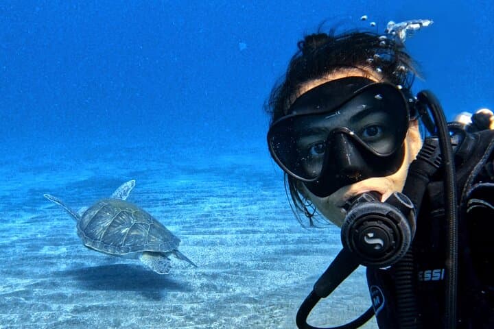 Learn to Dive: Open Water Course in Tenerife’s Clear Seas
