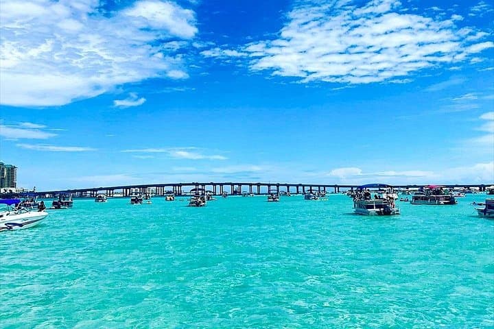 Destin Crab Island Catamaran Tour — Crab Island & Dolphin Sightseeing (3.5 hrs) photo 2