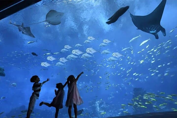 Inside Hurghada Grand Aquarium: Walk the Red Sea in Glass photo 3
