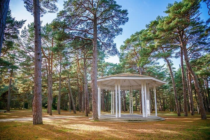 Palanga Amber and Klaipeda Charm: Private Baltic Coast Day Tour photo 5