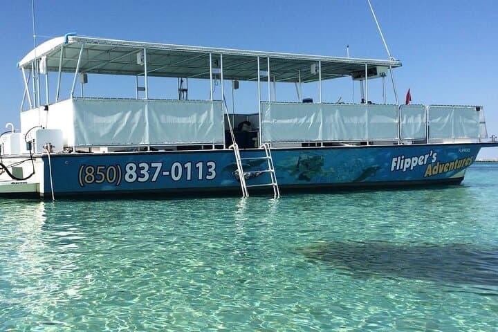 Destin Crab Island Catamaran Tour — Crab Island & Dolphin Sightseeing (3.5 hrs) photo 1