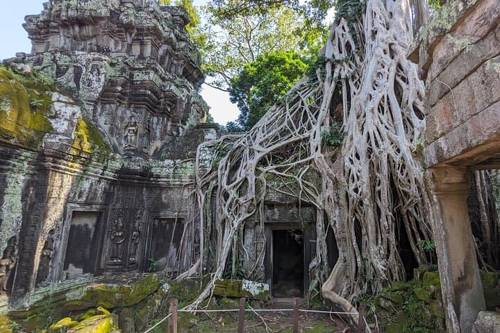 Sunrise at Angkor Wat: Personalized Tuk Tuk Tour from Siem Reap photo 3